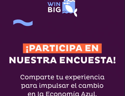 Puerto Sotogrande colabora en la participación activa de la Encuesta sobre Mujeres en la Economía Azul del Proyecto Europeo WIN-BIG