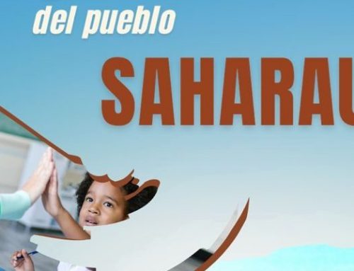 Puerto Sotogrande y Fundación Navega organizan visita educativa para beneficiarios de los ‘Amigos del Pueblo Saharaui’