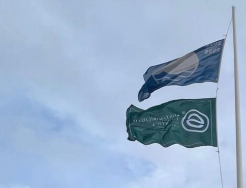 Puerto Sotogrande renueva su reconocimiento como destino sostenible de calidad con la Certificación S de Sostenibilidad Turística para Puertos Deportivos