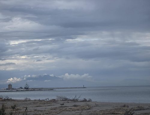 La Nao Victoria realiza una parada técnica en Puerto Sotogrande antes de iniciar su nueva temporada internacional