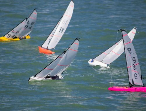 Puerto Sotogrande y la flota RC Sotogrande aprueban un protocolo de coordinación para la organización de regatas de la clase DF65